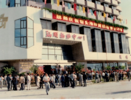 生长历程
