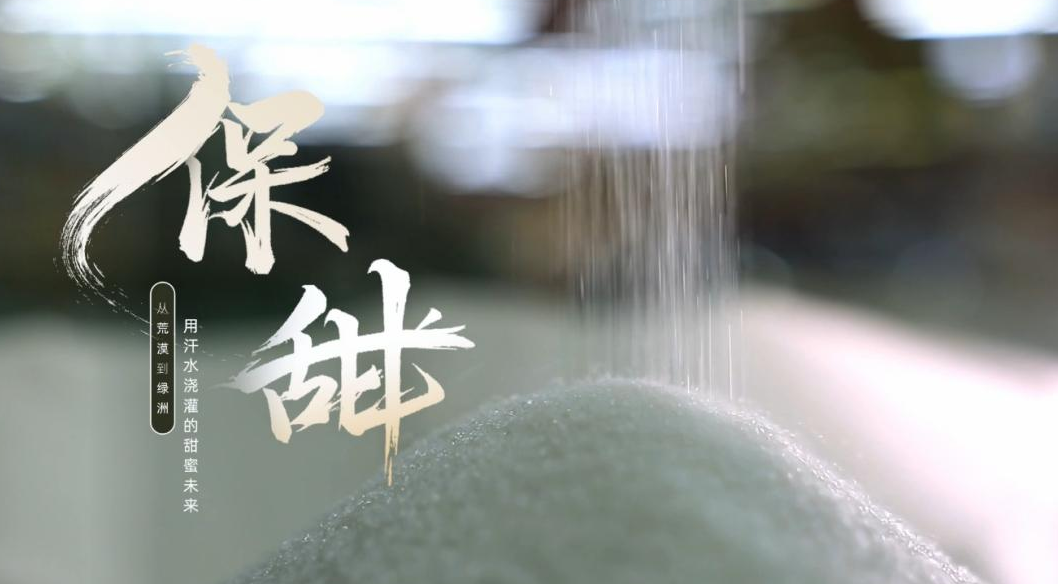 美狮贵宾会新闻